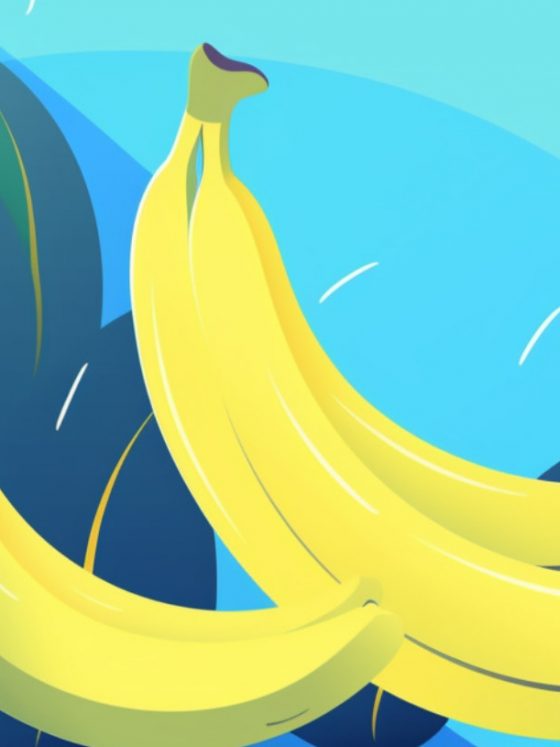Hussh | How the humble banana is helping us re-think our diets and our planet