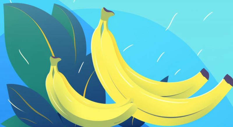Hussh | How the humble banana is helping us re-think our diets and our planet